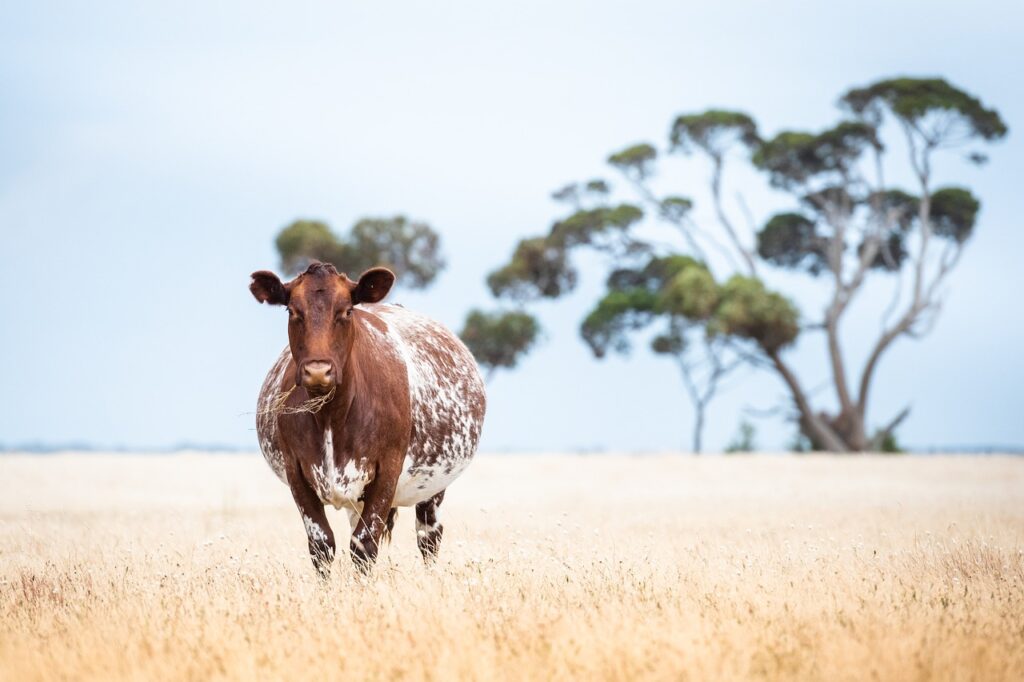 How To Invest In Farmland For Newcomers