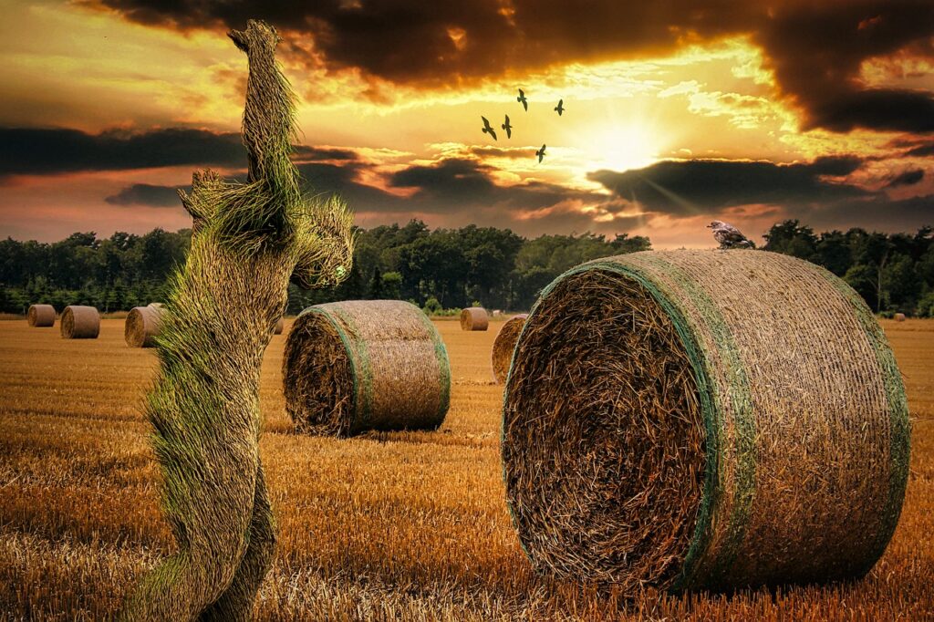 grassland with hay bails and a a crimson sky