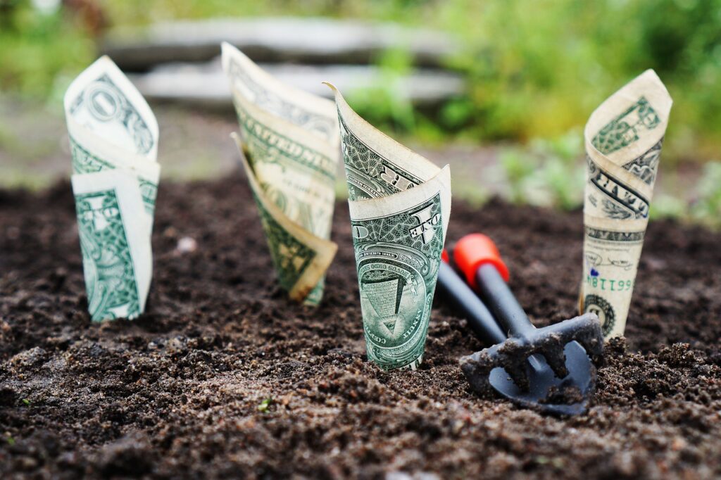 dollars buried in fertilized soil