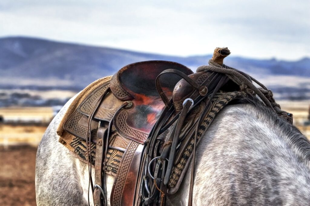 saddle, horse, cowboy-419745.jpg