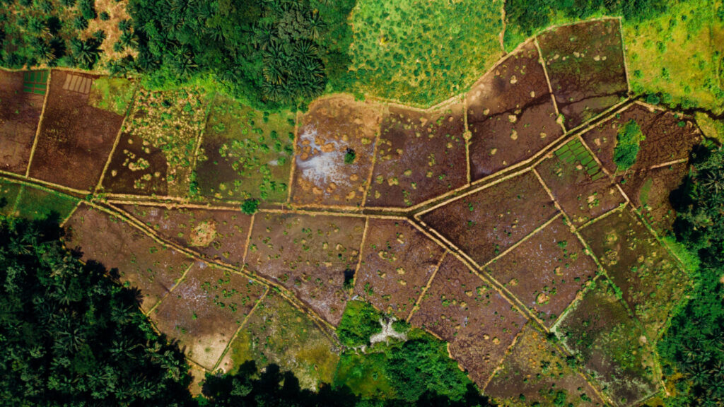 Aerial View of Plots of Farm Land