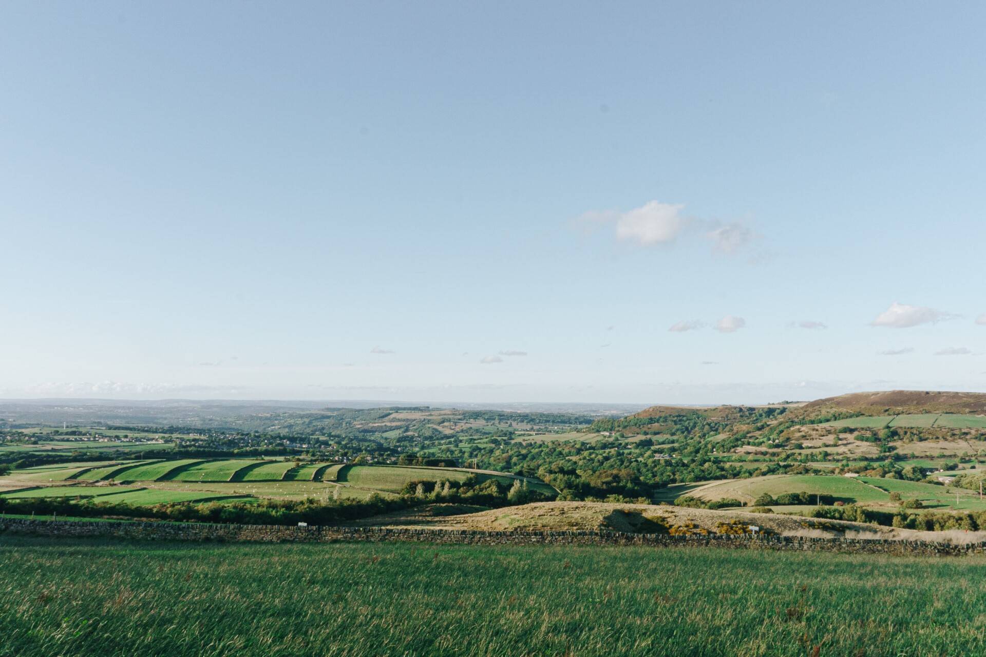 morning view of pasture 