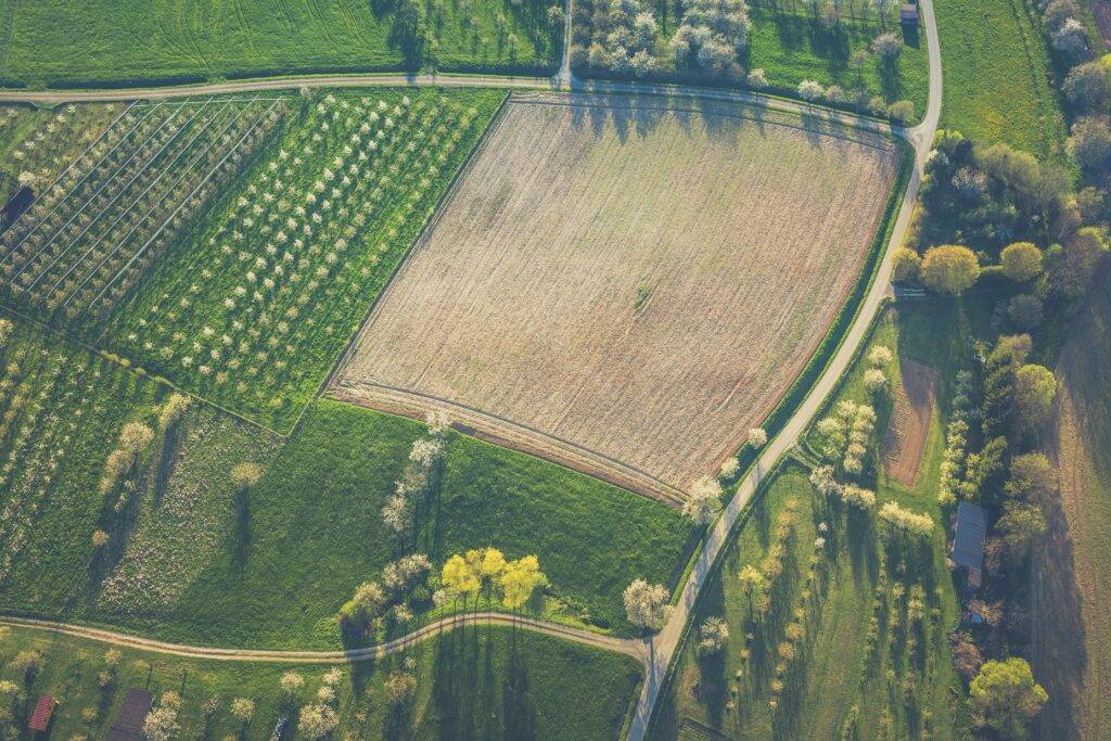 aerial view of cropland 