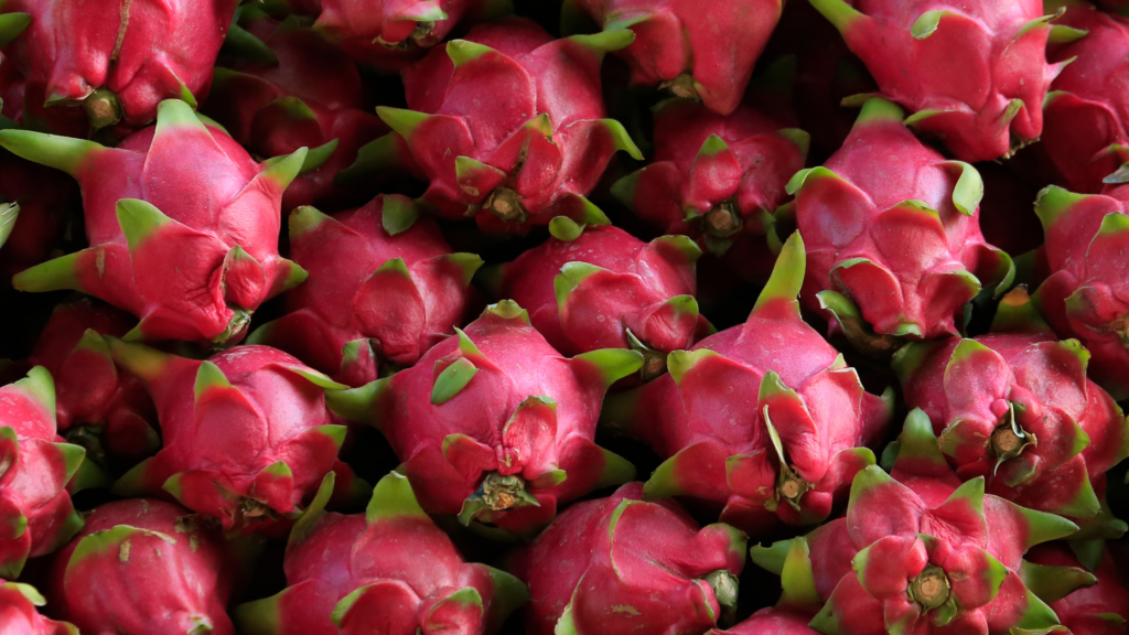 stacks of dragon fruit in close up