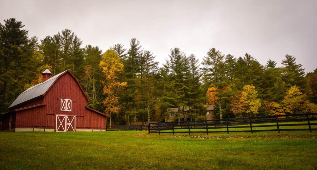 barn on a green farm