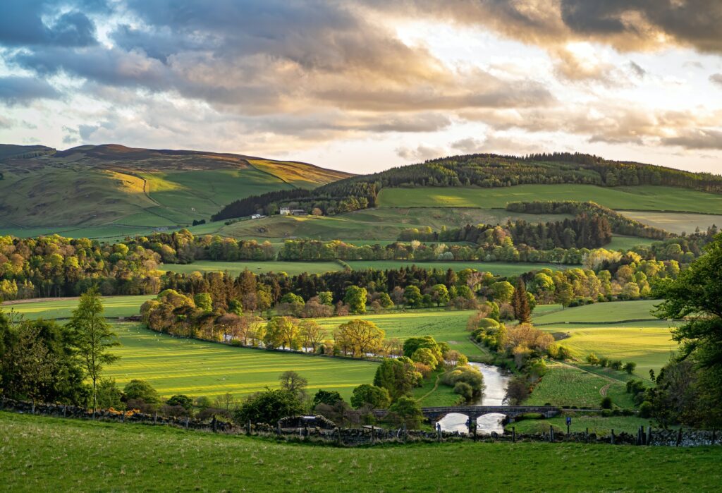 open pasture of farmland 