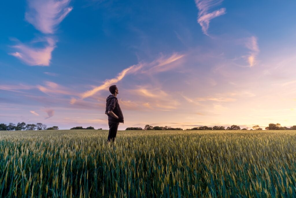 farmer in a land of green wheat