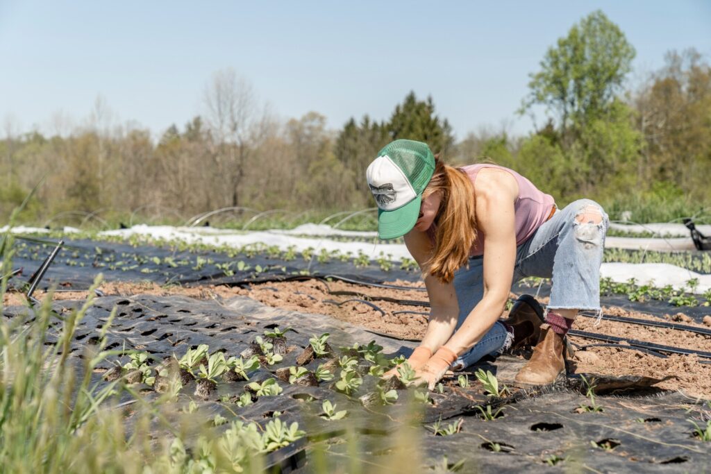 women planting investment farm crops