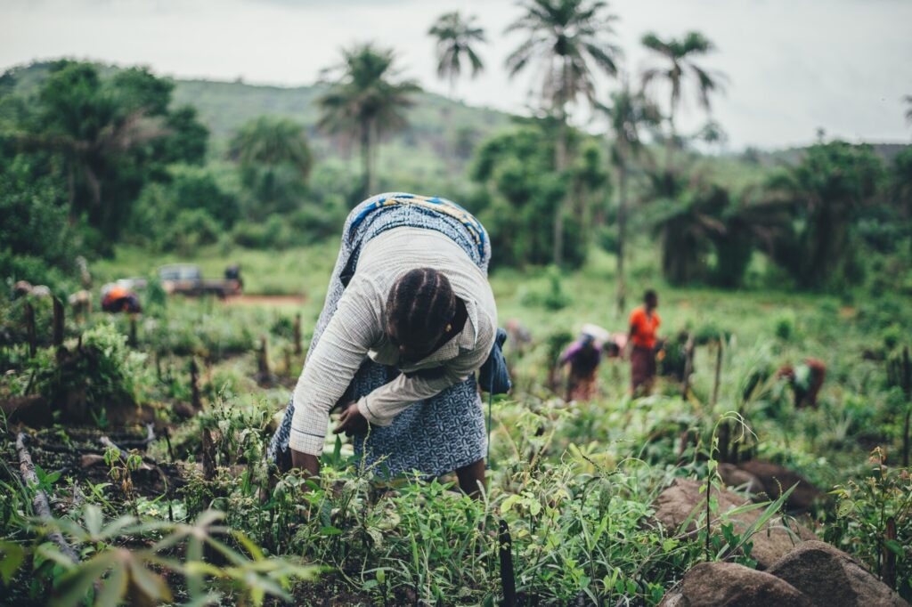 rural female farmer