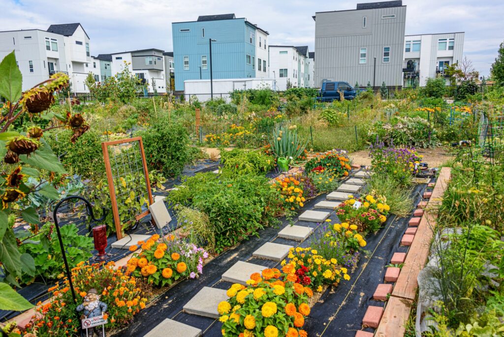 community garden with plants and apartments 